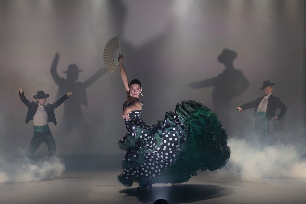 Una escena del espectáculo flamenco