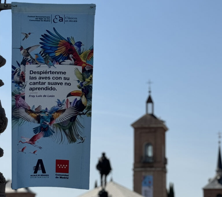 Imagen de una de las  banderolas que adornan las calles de Alcalá de Henares 