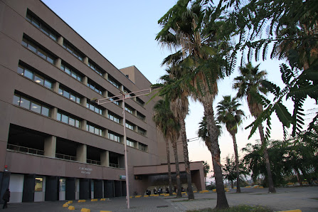 Edificio de la Agencia Andaluza de Instituciones Culturales